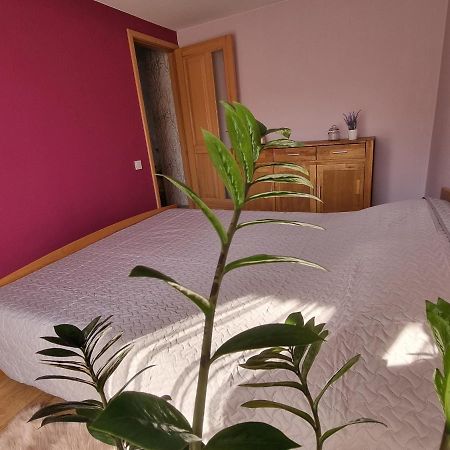 Apartment Kursi Колка Екстериор снимка