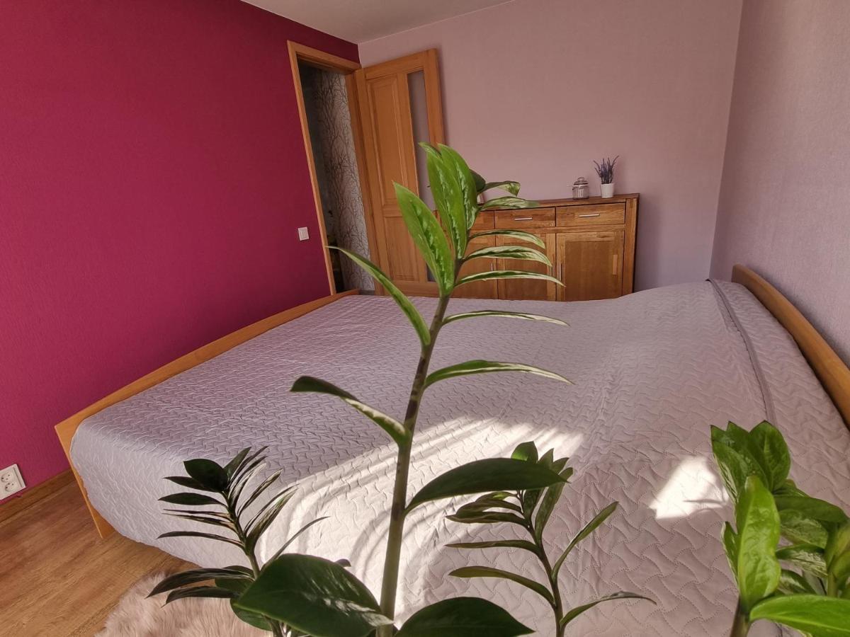 Apartment Kursi Колка Екстериор снимка